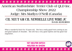 Class 18a - Ch. Neut Gr Ch. Newbelle Live Wire JC.png